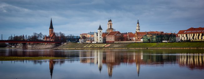 Kvietimas į 1 – ąją Baltijos šalių cistinės fibrozės konferenciją