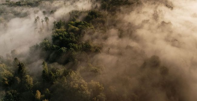 Konferencijos „Plaučių vėžys: nuo intervencinės pulmonologijos iki gydymo 2026“ programa