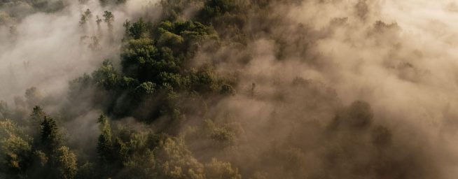 Konferencijos „Plaučių vėžys: nuo intervencinės pulmonologijos iki gydymo 2026“ programa